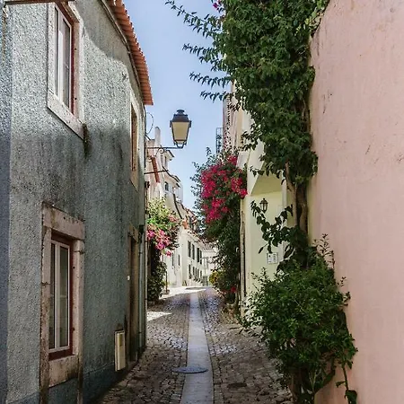 Lejlighed Seaside With A View - 200m Away From The Beach!